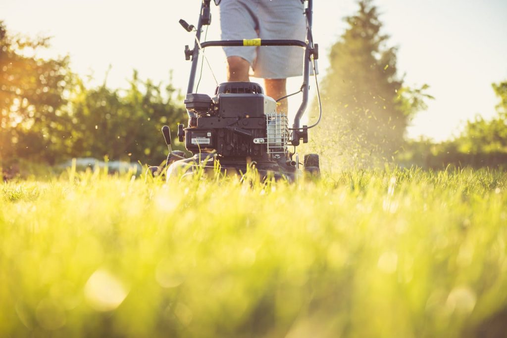 Lawn Mower Repair Near Me
