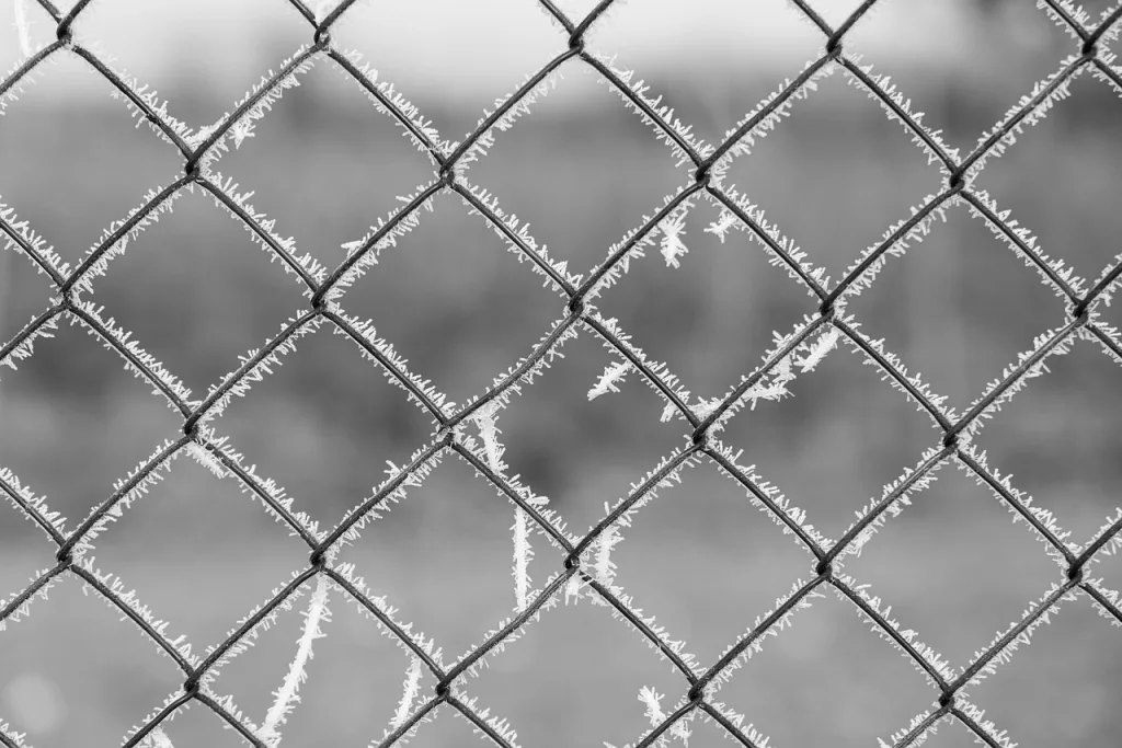 fence repair near me
