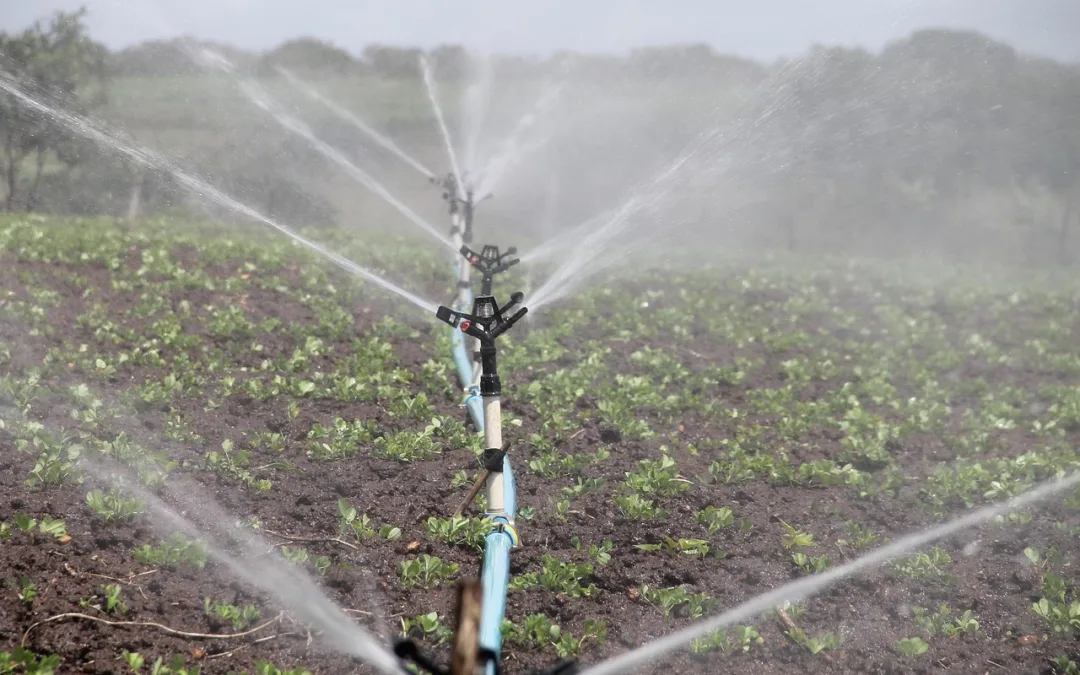 irrigation repair