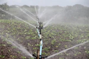 irrigation repair