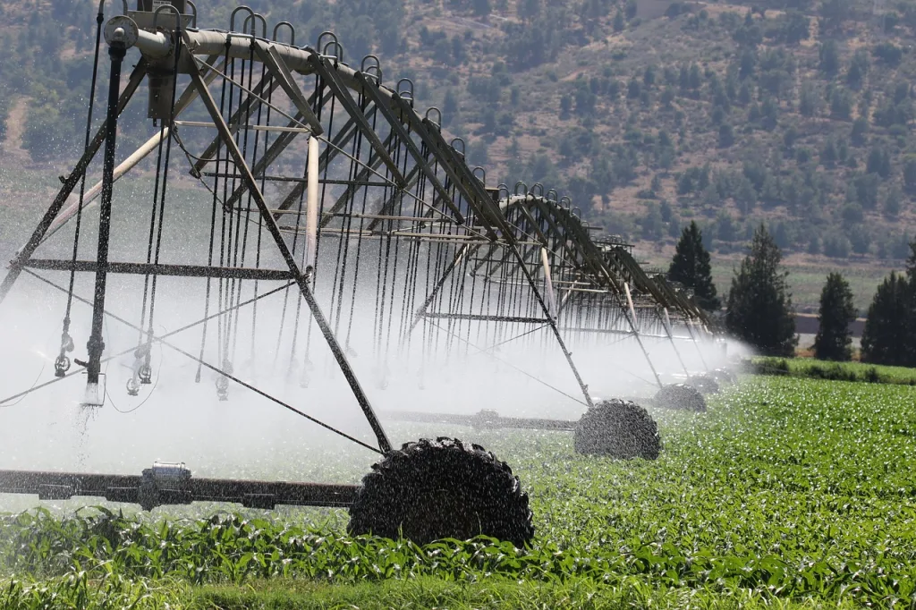 irrigation repair near me