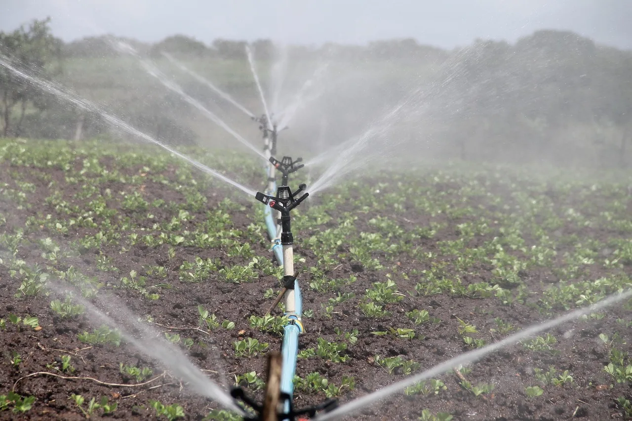 irrigation repair