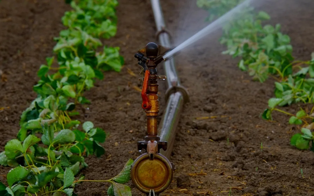 sprinkler repair
