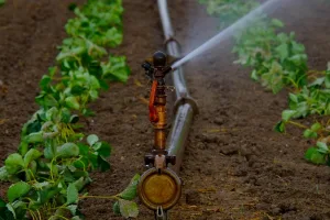 sprinkler repair